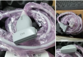 Siemens transducer 14L5
