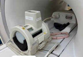 Knee rt coil