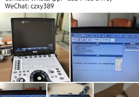 Gae Logiq E