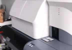 Beckman Coulter DXI 800 �mm�noloji Analiz�r�