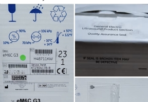 GE eM6C G3 probe