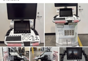 GE Logiq E10 R2 W