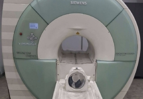 Siemens Magnetom Essenza Trim 25x8