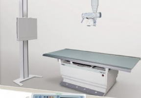 Listem rex 525