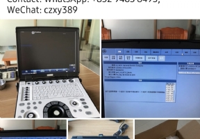 GE Logiq E
