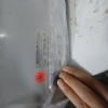 Trombosit cihaz�