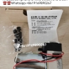Syzmex xs xn pump