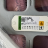 SIEMENS 4 Channel Large Flex Coil MRI 10498865