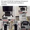 GE Logiq E10 R2 W